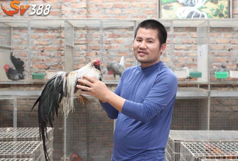 Bài tập hẫng chân rơi tự do giúp chân chiến kê khỏe hơn Bài tập hẫng chân rơi tự do giúp chân chiến kê khỏe hơn