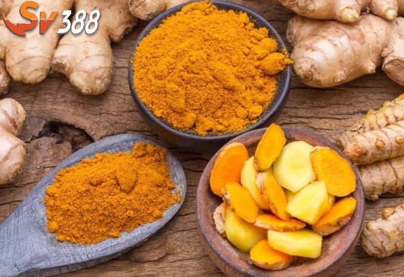 Chuẩn bị các nguyên liệu vào nghệ cho gà chọi Chuẩn bị các nguyên liệu vào nghệ cho gà chọi