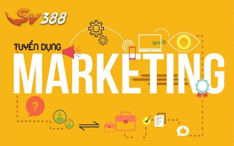 Tuyển dụng vị trí Marketing với nhiều đãi ngộ Tuyển dụng vị trí Marketing với nhiều đãi ngộ